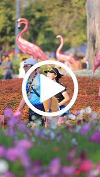 BIB:  <button type="button" onclick="openModal(27588700)" class="btn btn-primary btn-sm float-right" data-toggle="modal" data-target=".modal-high-quality">
                <i class="fa fa-download"></i> Download
                </button>